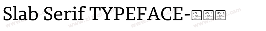 Slab Serif TYPEFACE字体转换 Slab Serif TYPEFACE字体转换